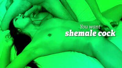 Perverted Meditations - Shemale Obsession 1 - upornia.com